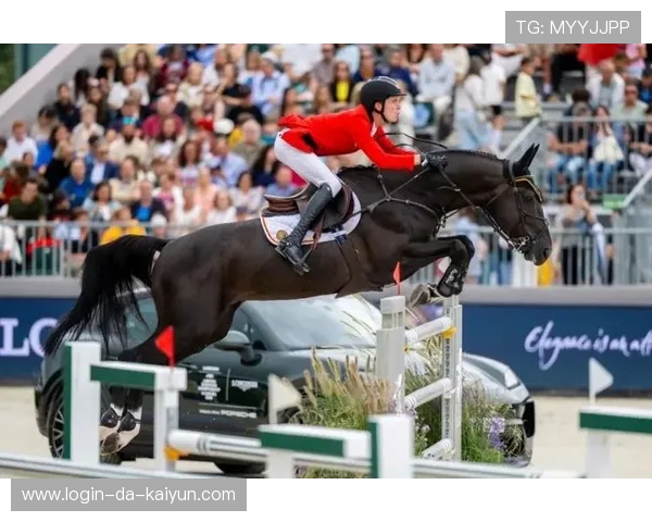 荷兰马术协会与阿根廷马术协会合作，举办国际马术友谊赛。，荷兰 马拉松